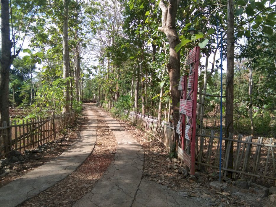 Di Jual Tanah Pekarangan Datar dekat Perkampungan