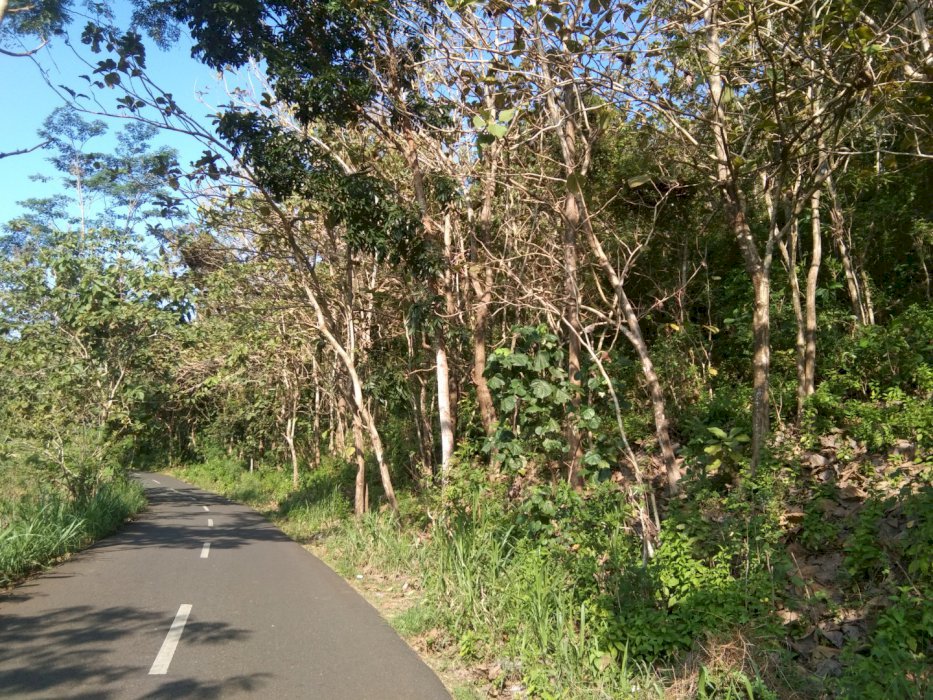 Di Jual Tanah Pegunungan di wilayah Jalur ke wisata Pantai