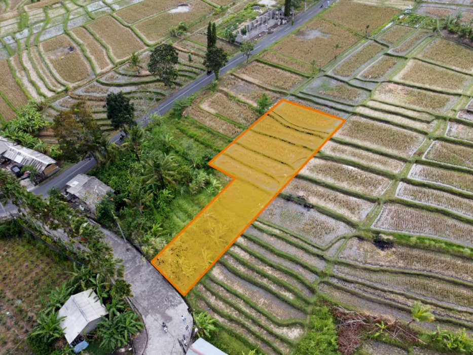 TANAH MURAH TUMBAK BAYUH DEKAT CANGGU/PERERENAN