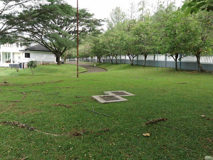 Dijual Cepat Kavling Premium BSD De Park: De Cajuputi 616 m2