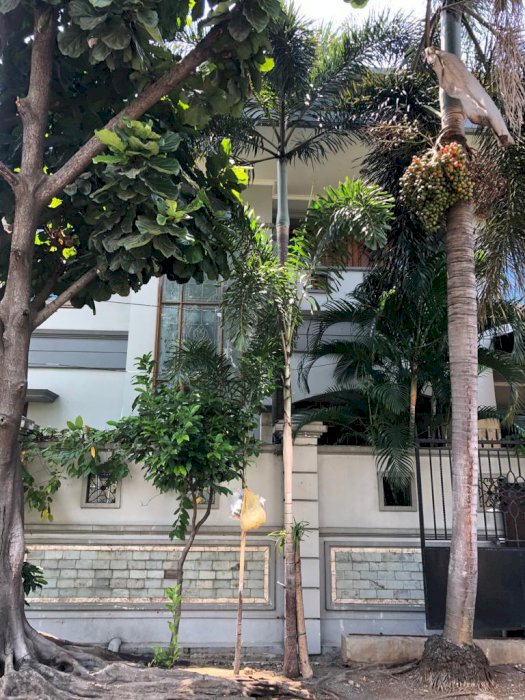 JUAL Rumah Bagus Daerah ,Kedoya Prisma,Kebon Jeruk,Jakarta Barat