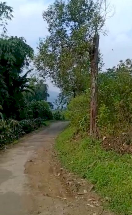 Di jual murah lagi BU LUAS TANAH 1000 M