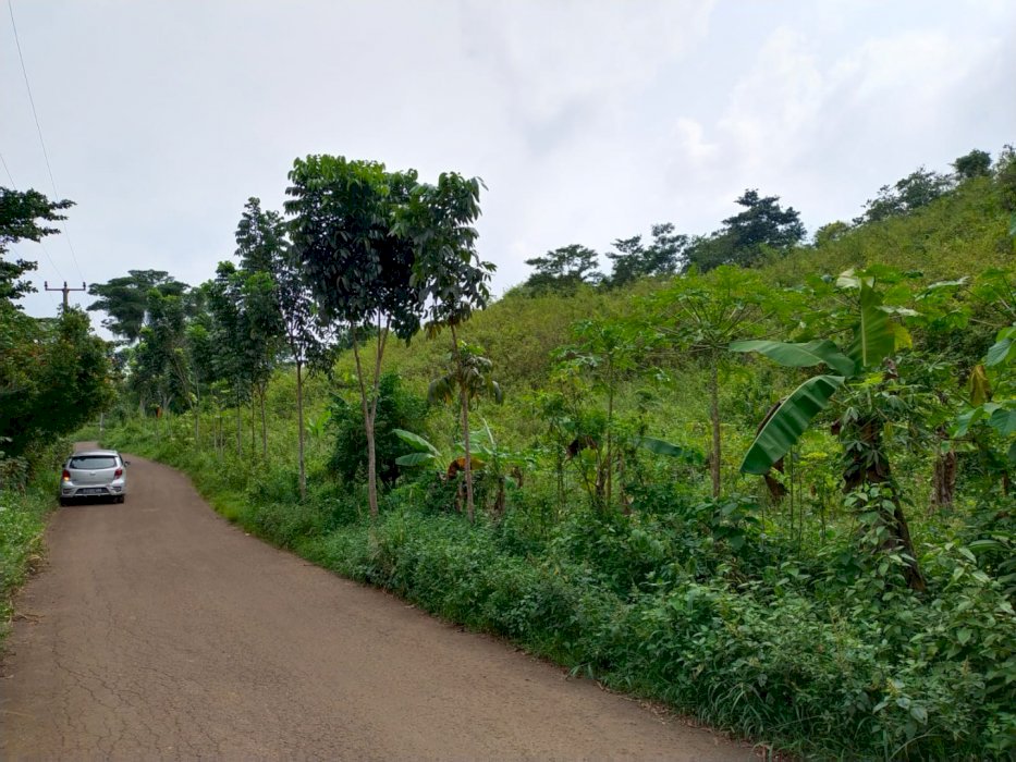 Jual cepat tanah  harga bersahabat di sodong Ligar Mukti  Bogor