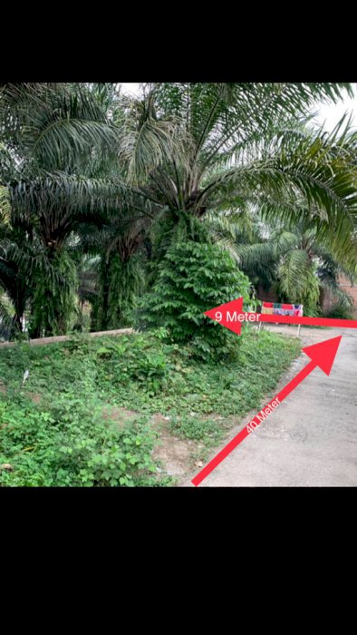 TANAH KEPLING MURAHh