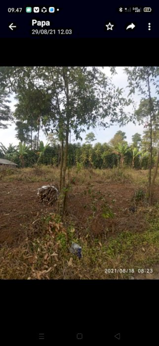 BU TANAH 1000 M DIJUAL MURAH