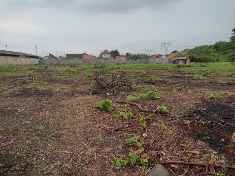 DI JUAL TANAH KAVLING MURAH STRATEGIS ,ALAMAT PEKALONGAN JAWA TENGAH