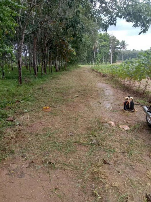 Tanah Kavling ITERA Amanah Land