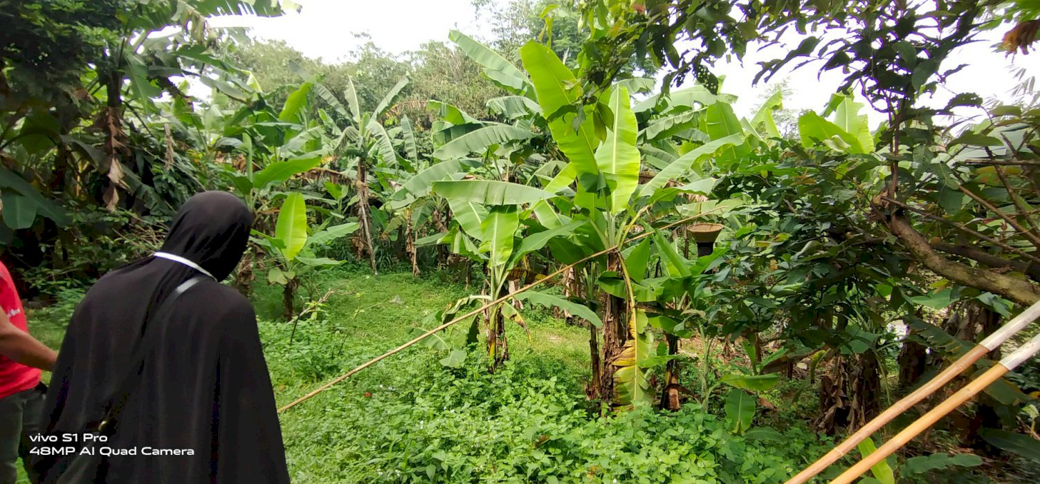 Jual Tanah di Tajur Halang, Kab Bogor