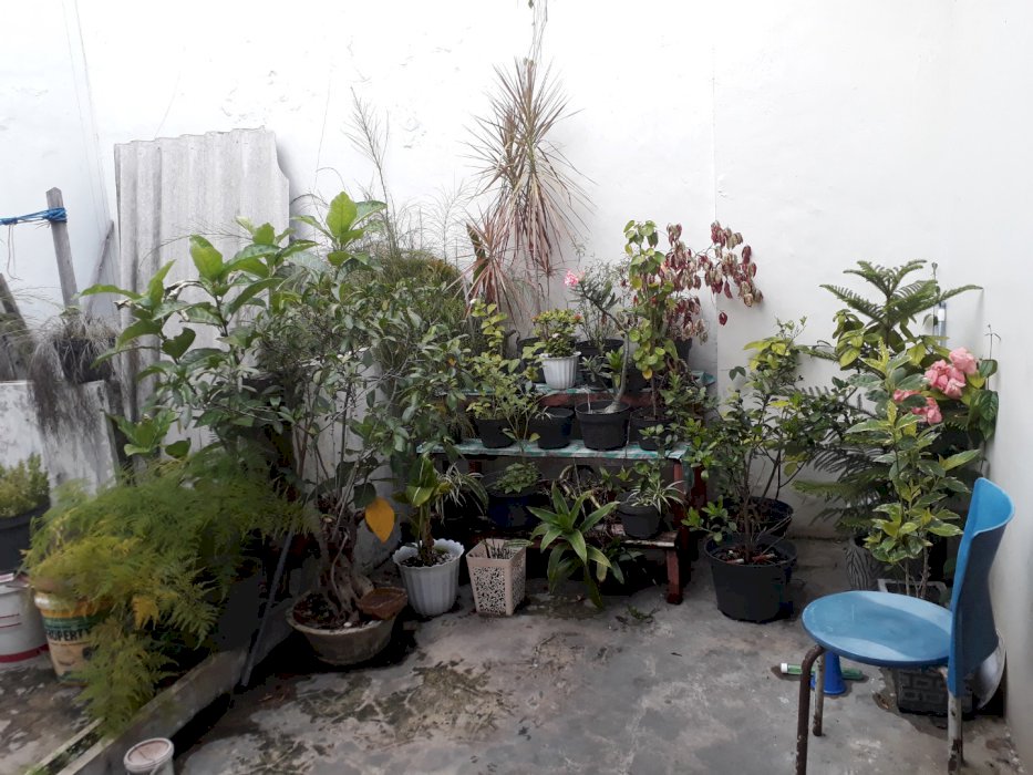 Owner.Rumah tengah kota Surabaya dibawah harga pasar