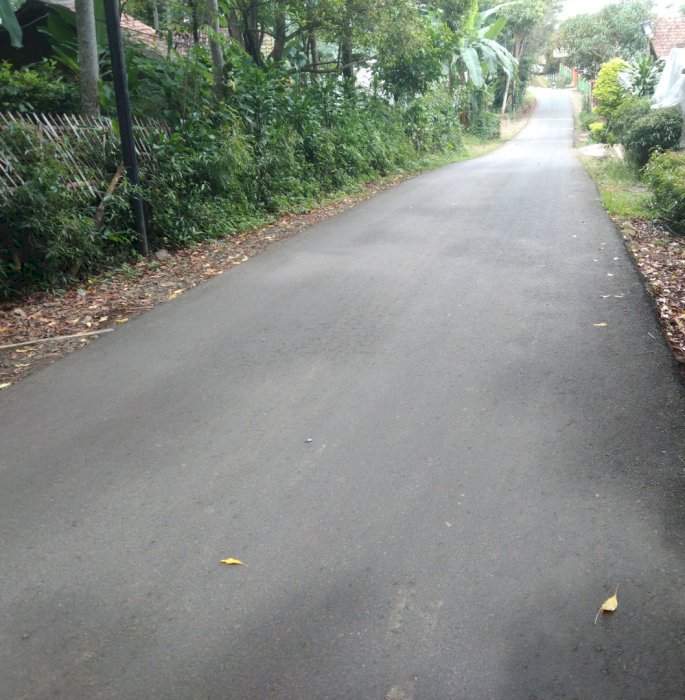 Jual Cepat Tanah Kebun Cengkeh dan Teh