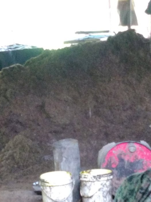 Jual Tanah Kebun Luas Tanah 13000 Meter