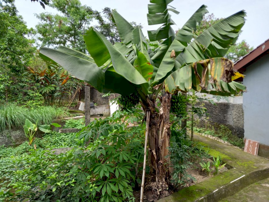 Dijual Rumah Serasa Villa Di Kaki Gunung Salak Idrumah