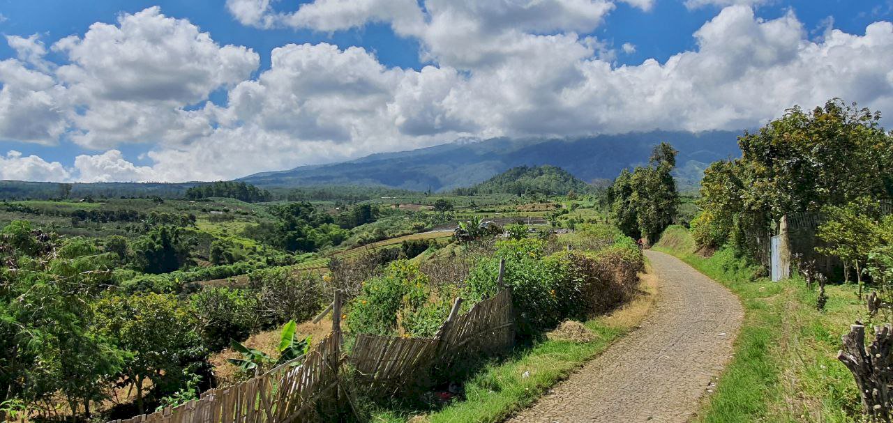 Hanya Satu Saja, Tanah Murah Kota Batu 2800 M2 Bonus Kebun Jeruk