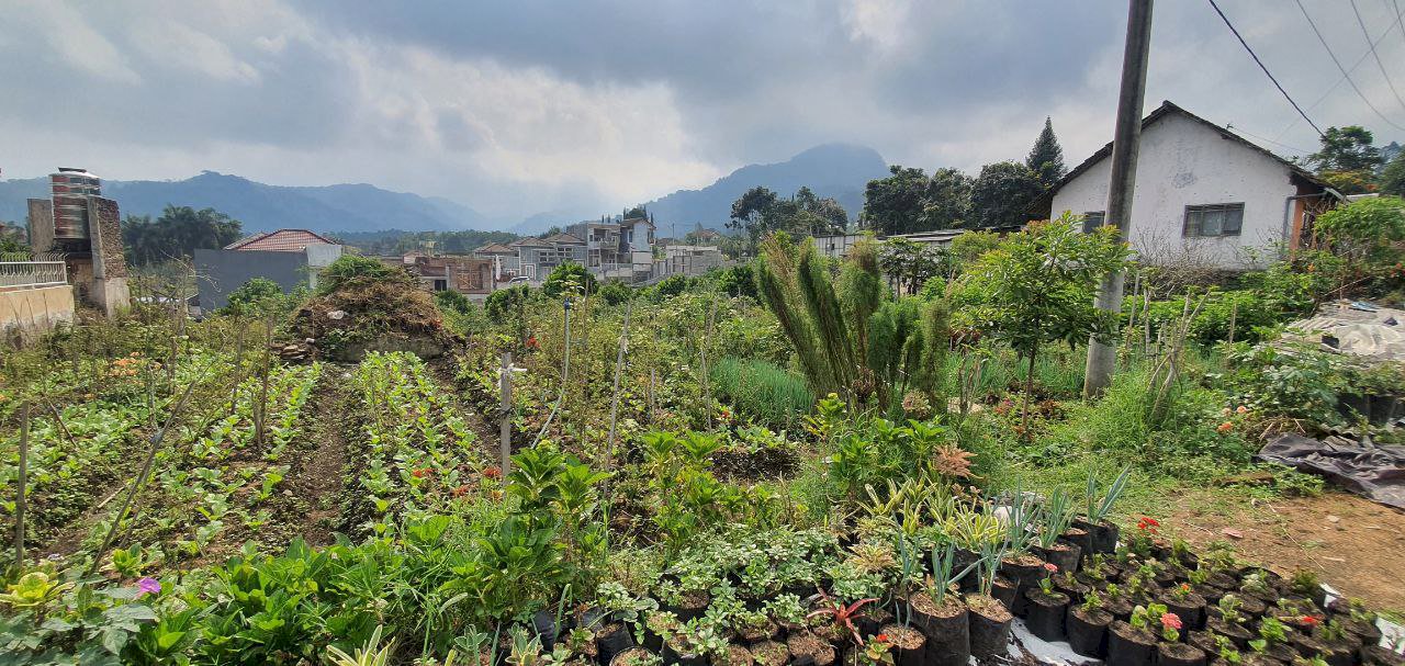 Tanah SHM Istimewa 486 m2 di Tulungrejo Selecta Kota Wisata Batu