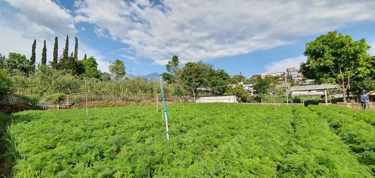 Tanah Komersil SHM Istimewa 679 m2 di Tulungrejo Selecta Batu