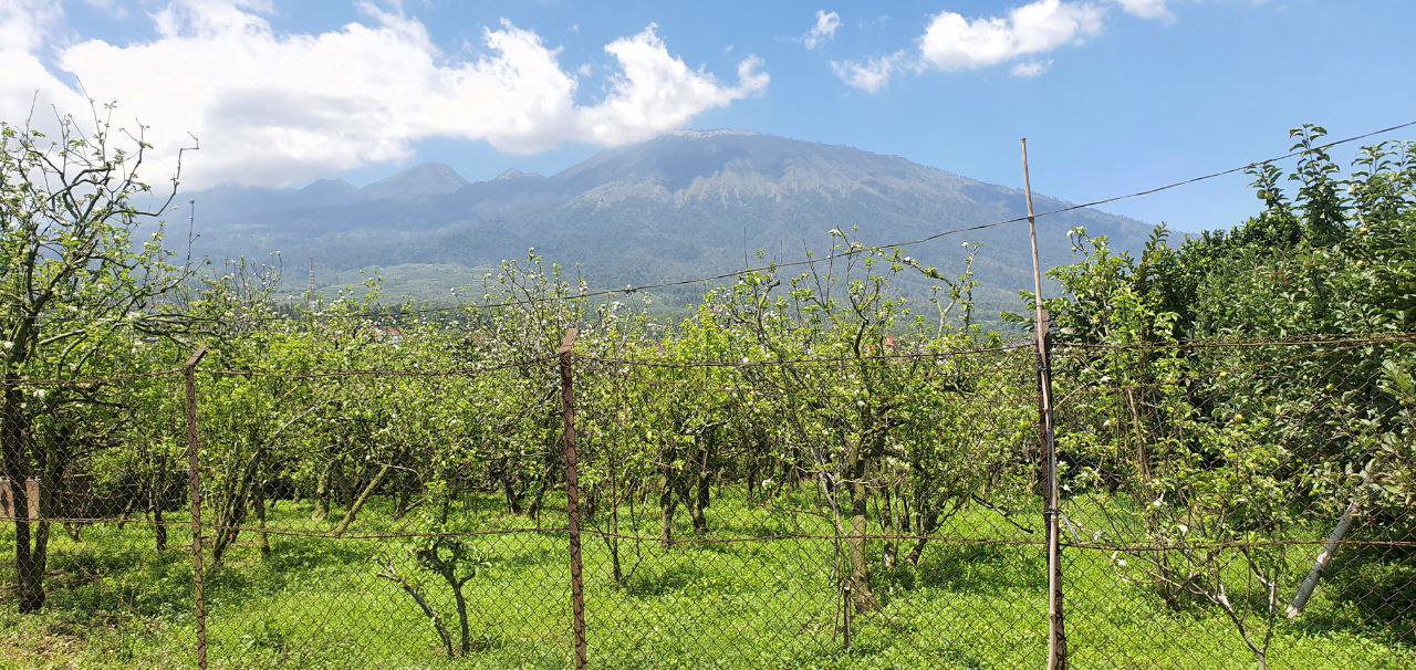 Tanah SHM Istimewa 806 m2 Bonus Kebun Apel di Tulungrejo Selecta Batu