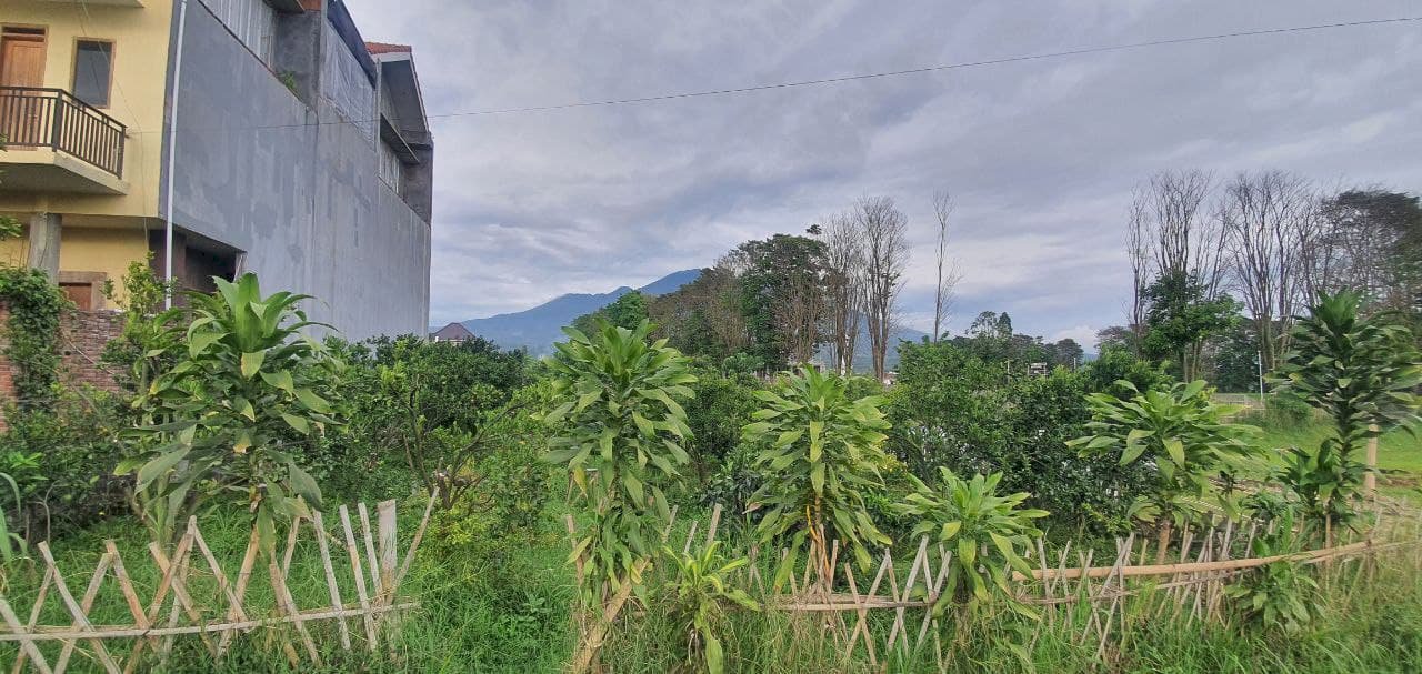 Eksklusif, Satu Kavling Saja Tanah SHM Strategis Poros Jalan