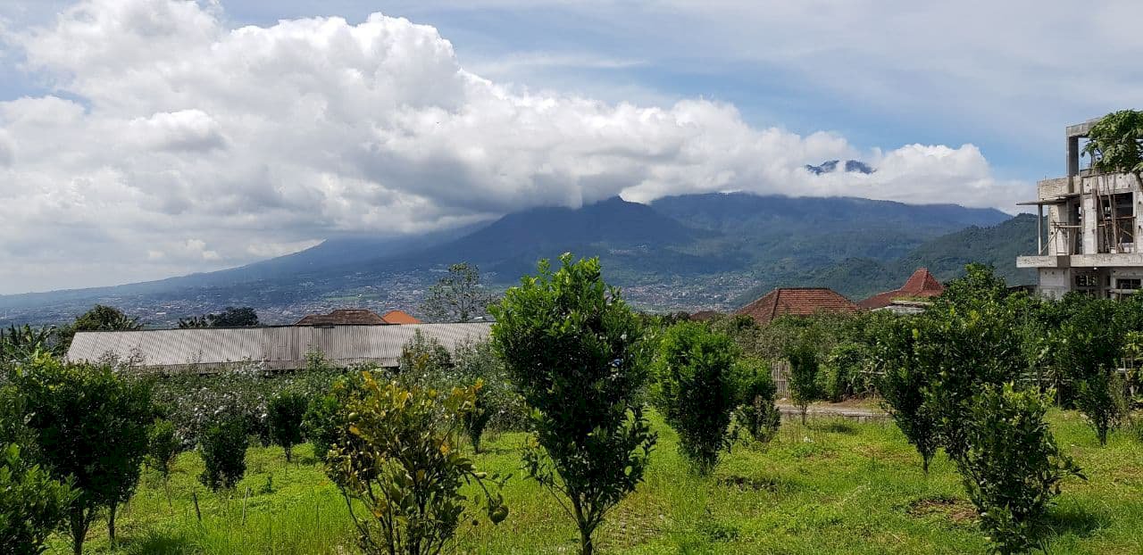 Tanah Hunian View Istimewa di Dataran Tinggi Sumbergondo Batu