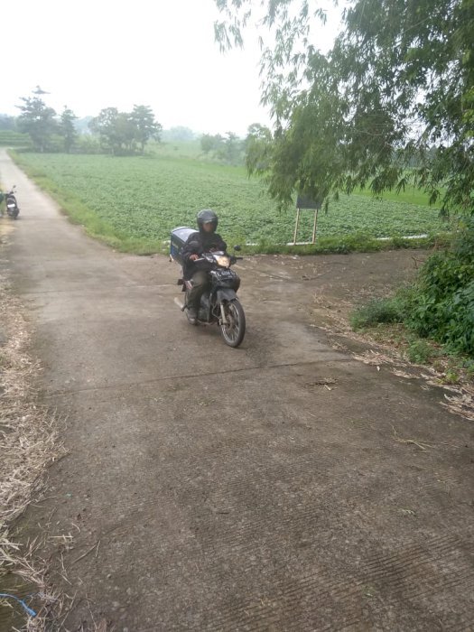DI JUAL TANAH SAWAH MURAH 3.290 MÂ² AREA WISATA PACET KAB MOJOKERTO JATIM