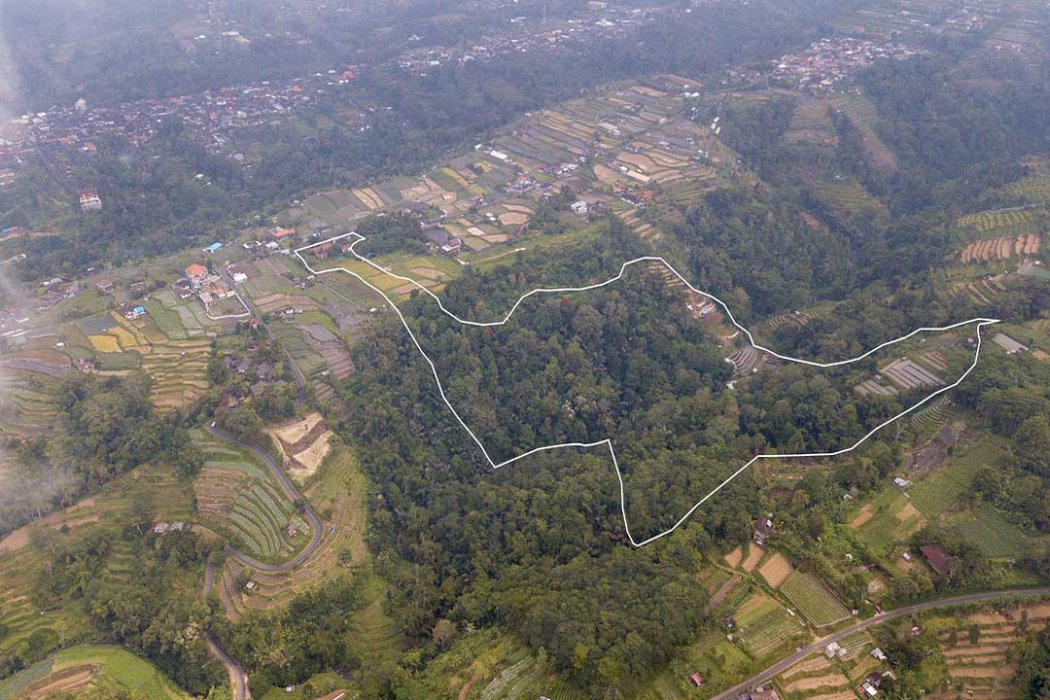 FOR SALE 5 HECTARE LAND IN BATURITI, BEDUGUL - BALI.