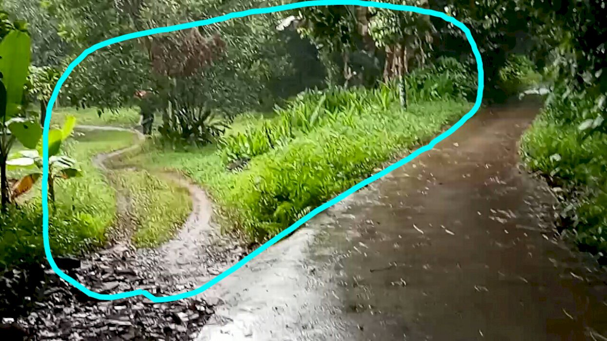 Jual cepat /Murahhh (BU) Tanah darat 415 mÂ² ada pohon rambutan berbuah