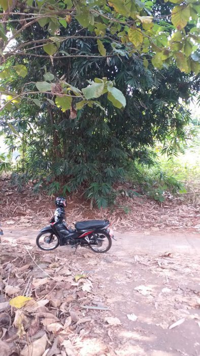 Dijual sebidang tanah