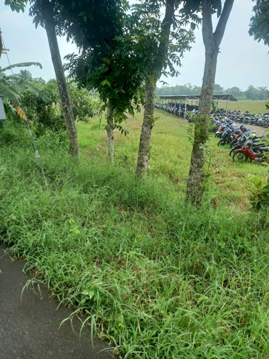 Tanah strategis depan SMK MUSI kesesi