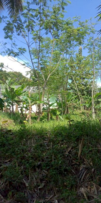 Jual tanah lokasi Pamugaran plabuhan ratu