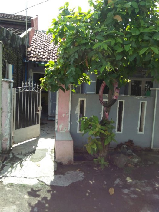 Rumah Murah Type 72