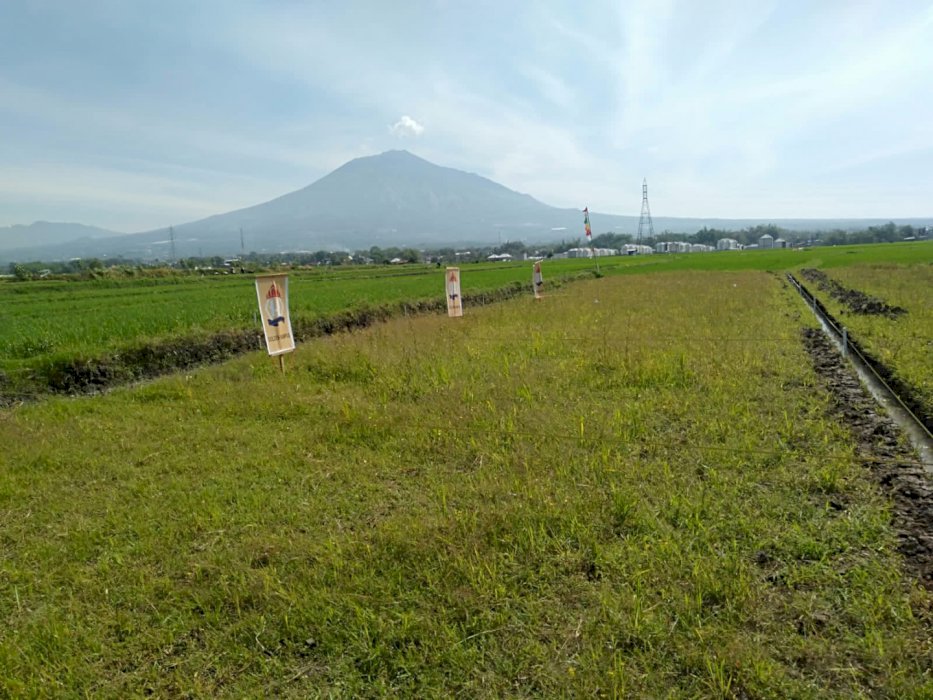 Kavling SHM Siap Bangun di Tegalgondo Kota Malang Batu