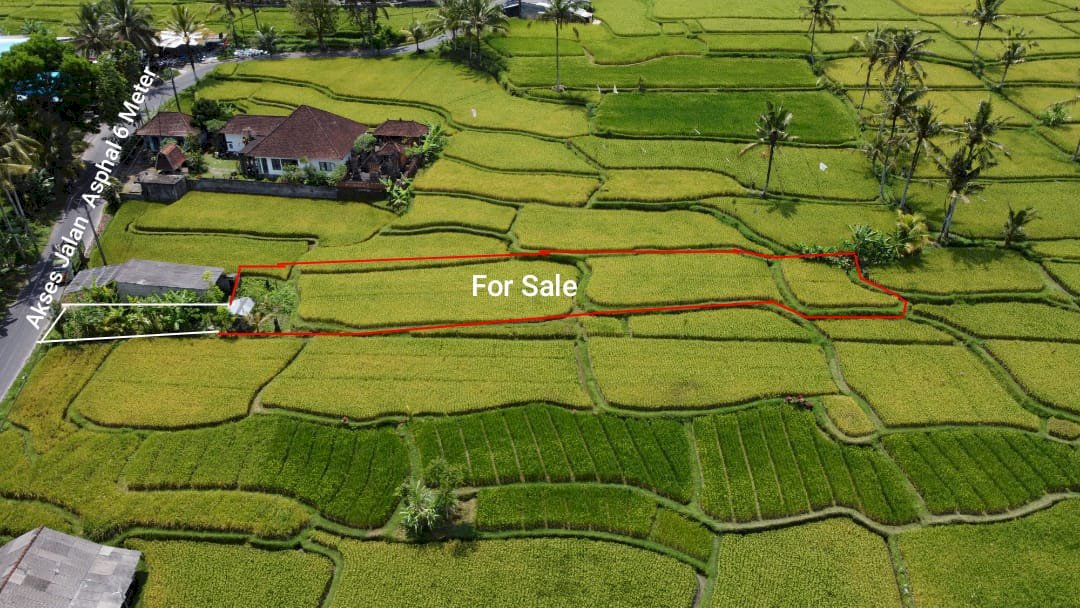 DI JUAL TANAH MURAH TEGALLALANG GIANYAR BALI