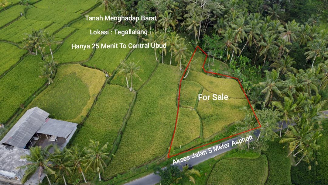 TANAH MURAH DI TEGALLALANG GIANYAR BALI