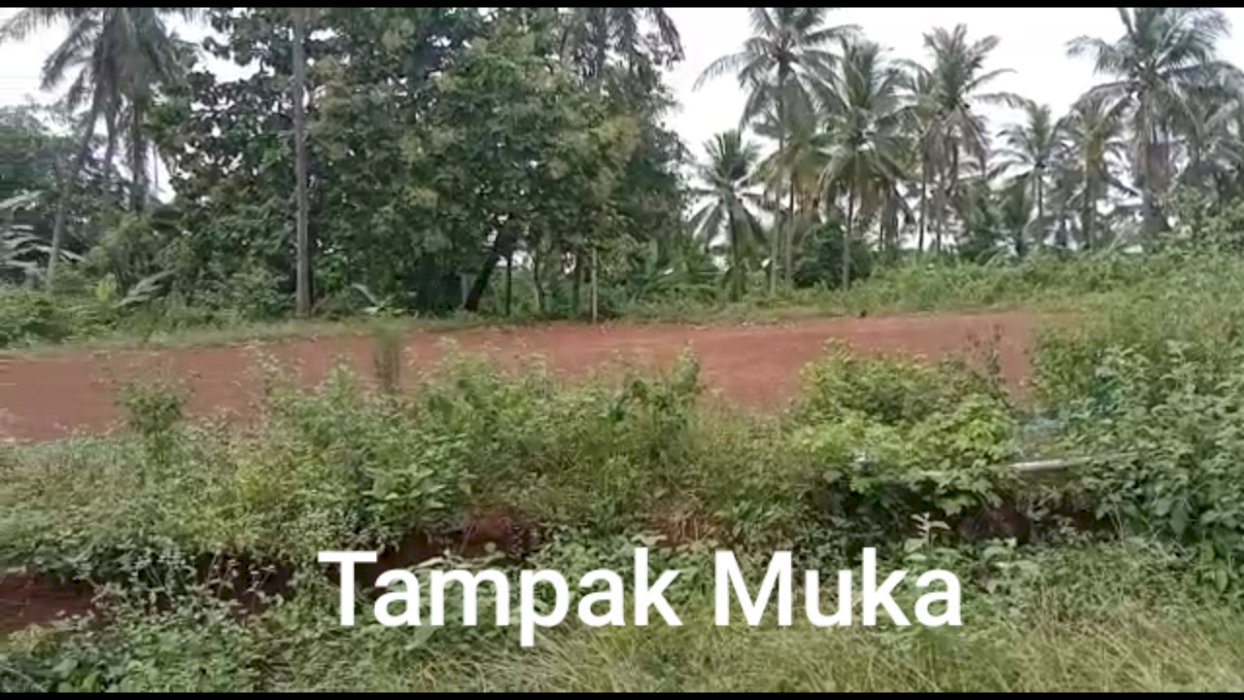 JUAL TANAH KEBUN KRAMAT TANJUNG BUNIHARA ANYER SERANG