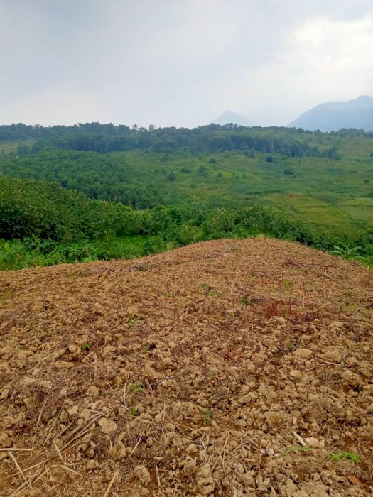 Tanah Darat 100rbu/meter Cocok Untuk Investasi, Murah Strategis