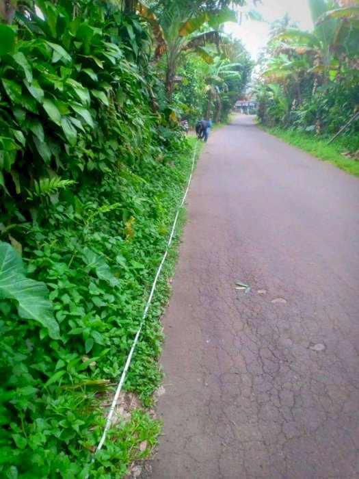 dijual segera tanah  kosong produktif