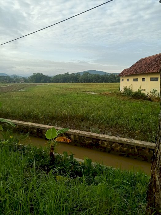 Tanah strategis Samping SMP 2 kesesi