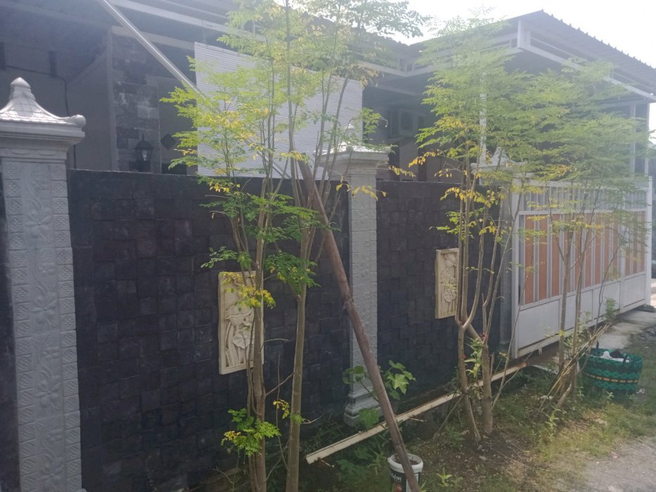 Rumah baru dihuni 5 bulan