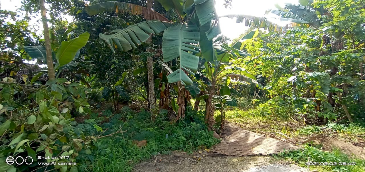 Dijual tanah seluas 300m persegi diTenjo,bogor jawa barat