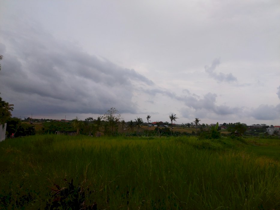 Jual tanah untuk bisnis ruko caffe restauran Padang linjong canggu