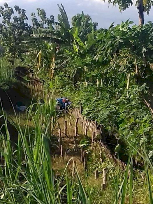 dijual cepat tanah strategis pinggir jalan raya