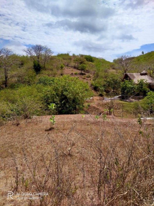 Kami ingin memasarkan tanah