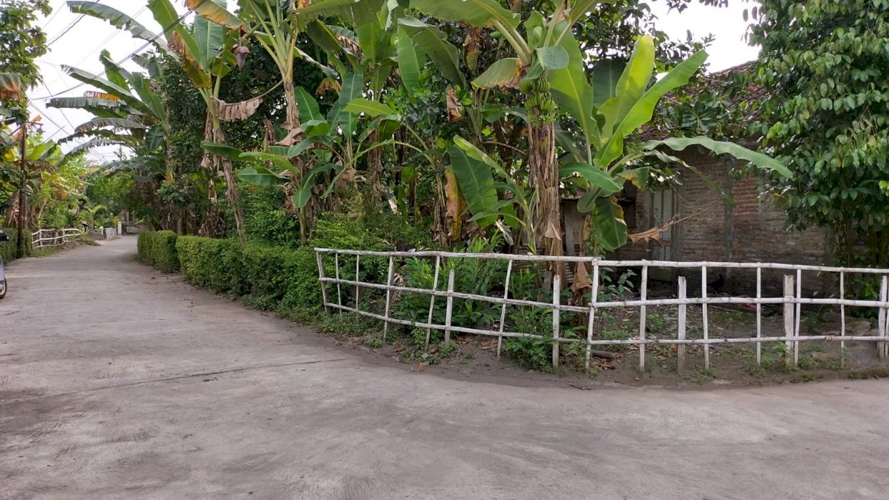 Tanah Murah Timur Gereja Ganjuran