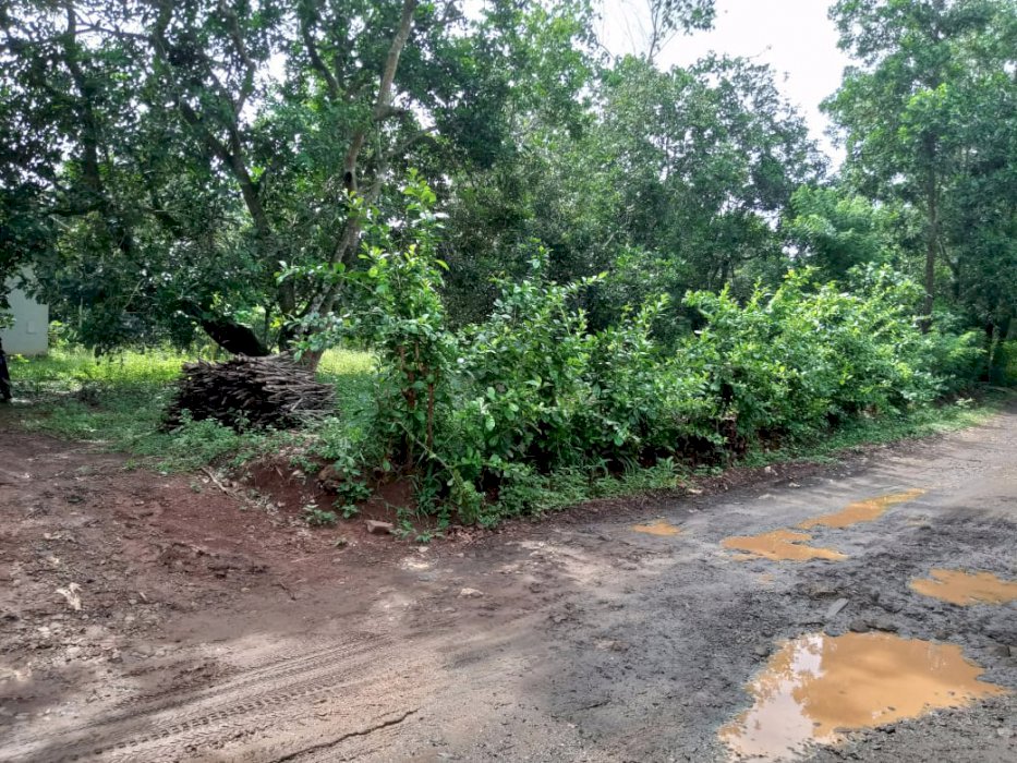 JUAL TANAH DATAR / KEBUN