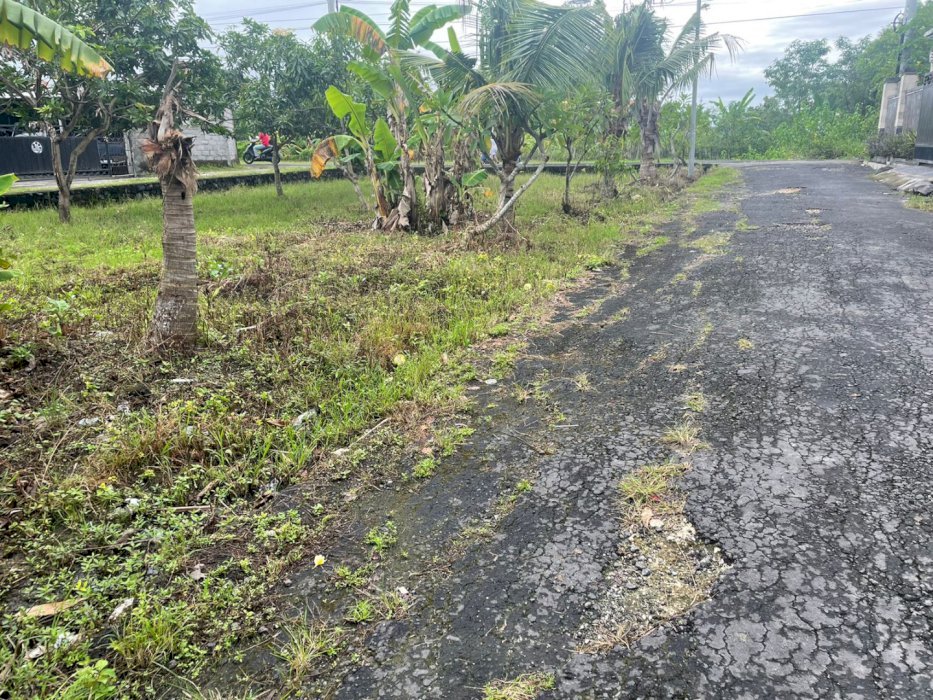 Jual tanah pribadi termurah dilokasi padonanan view sawah