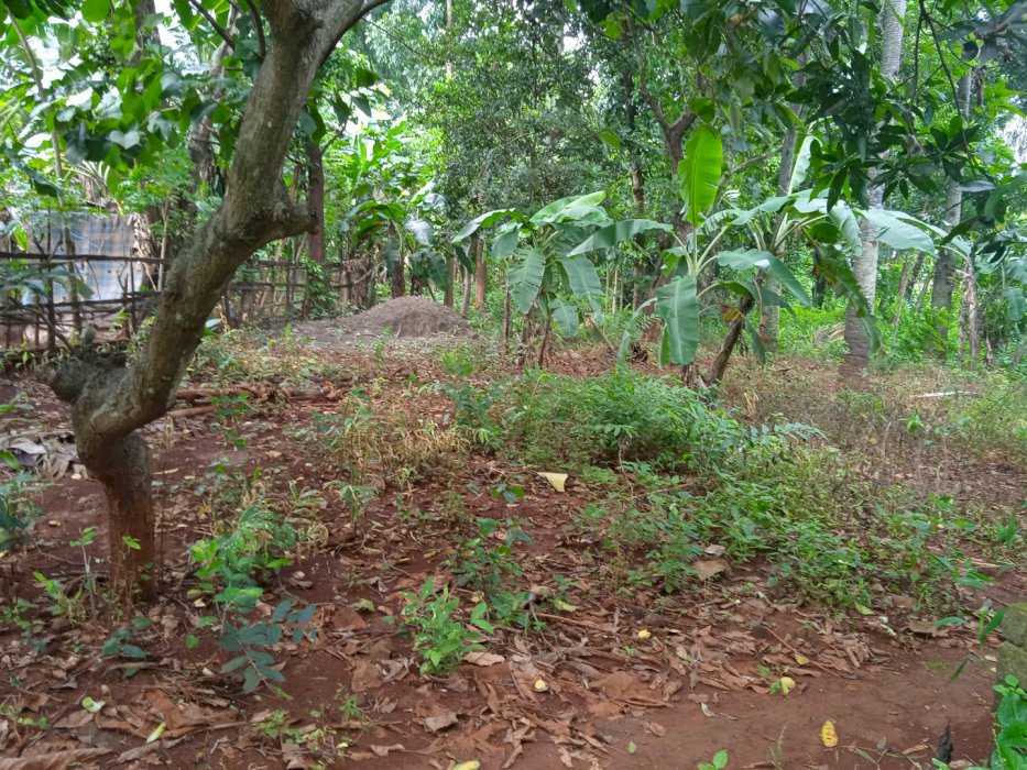 Tanah Murah Meriah, Di jual cepat BU