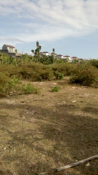 Dijual Tanah Startegis di Ungasang Badung Bali