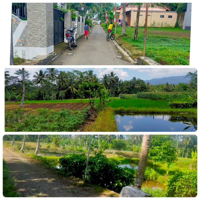 Jual tanah milik pribadi sppt