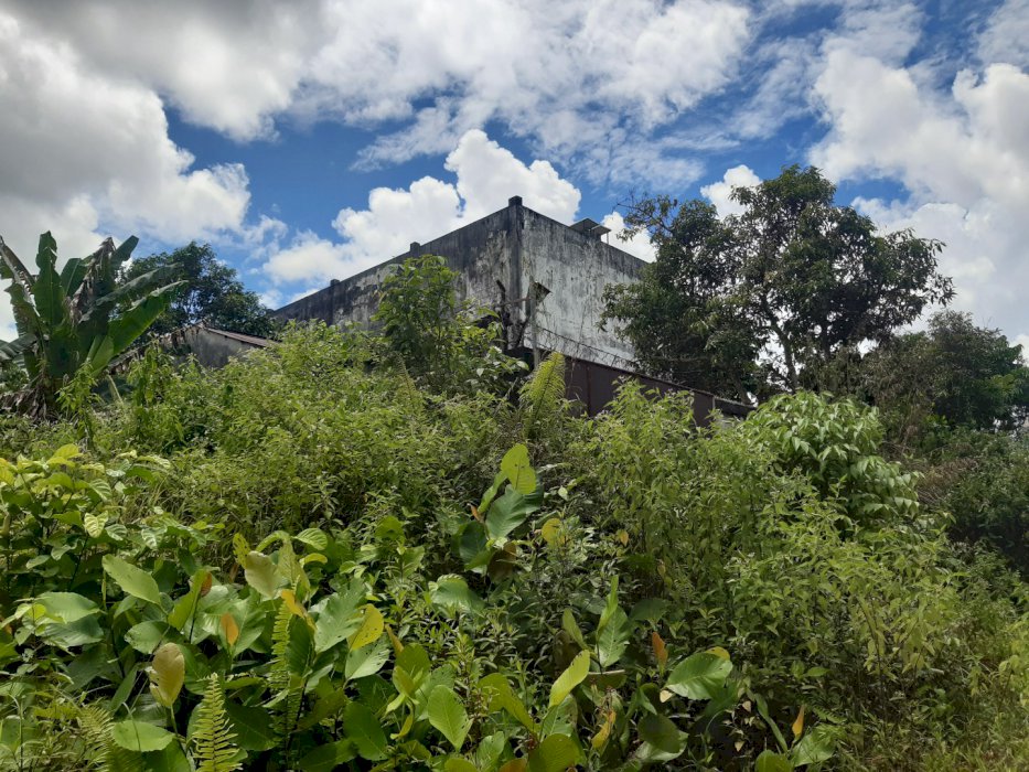 Tanah Dijual Segera di Kariangau Balikpapan