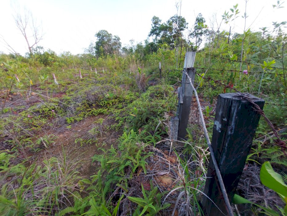 Dijual Segera Tanah Kavling di Balikpapan