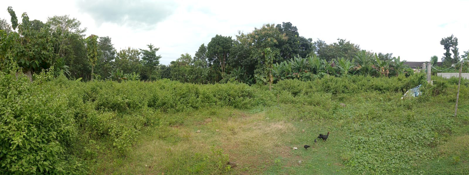 JUAL TANAH DEKAT JALAN SOLO SEMARANG